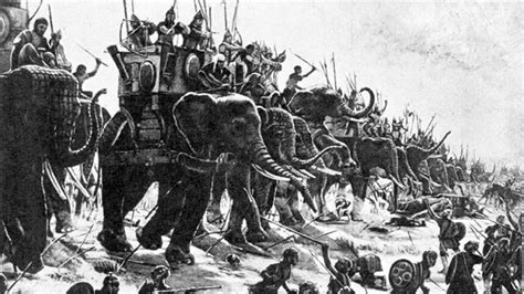 kalinga satta king|Kalinga War .